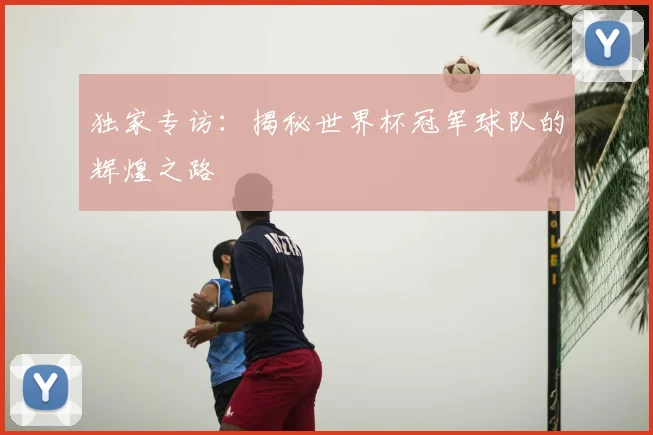 独家专访：揭秘世界杯冠军球队的辉煌之路