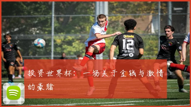 投资世界杯：一场关于金钱与激情的豪赌