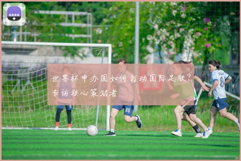 世界杯申办国如何打动国际足联？专访核心策划者